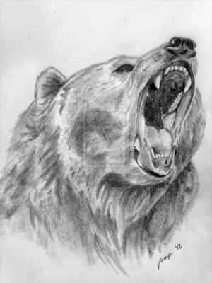 Медведь картинки нарисованные - 83 фото