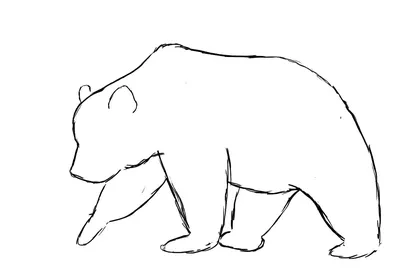 Медведь нарисованный рукой декоративный Иллюстрация вектора - иллюстрации  насчитывающей печать, головка: 60707162