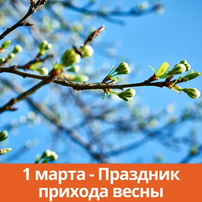 Дневник наблюдений за погодой – купить по цене: 119,70 руб. в  интернет-магазине УчМаг