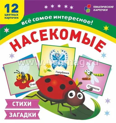 Иллюстрация 8 из 35 для Азбука. Насекомые России: книга для чтения детям -  Инна Шустова | Лабиринт -