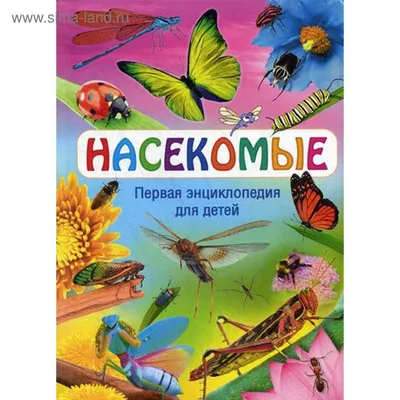 Купить Игрушки для детей \"Насекомые\" в интернет-магазине OKi.by с доставкой  или самовывозом