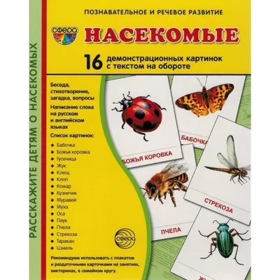 Книга Насекомые. природа В Деталях. Энциклопедия для Детей. Определитель -  купить детской энциклопедии в интернет-магазинах, цены на Мегамаркет | 31639