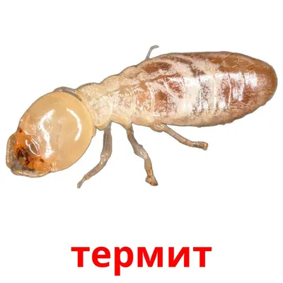 пятница