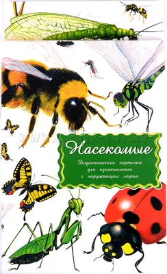Купить карточками по методике Домана \"Насекомые\" в интернет-магазине.  Доставим методику Домана в виде карточек по Москве, СПб и России