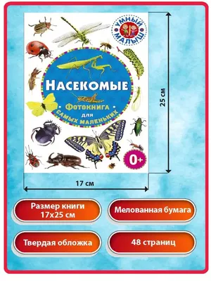 23 Бесплатные Карточки Насекомые на Русском | PDF