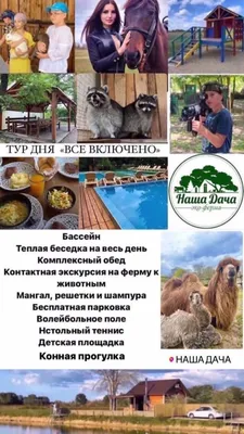 Ресторан Наша Dacha (Наша Дача) на Приморском шоссе: меню и цены, отзывы,  адрес и фото - официальная страница на сайте - ТоМесто Санкт-Петербург