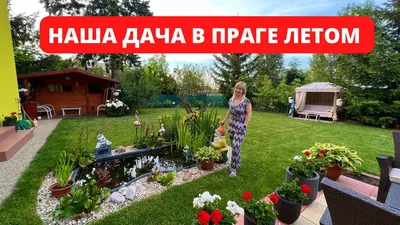 Ресторан Наша Dacha (Наша Дача) на Приморском шоссе: меню и цены, отзывы,  адрес и фото - официальная страница на сайте - ТоМесто Санкт-Петербург