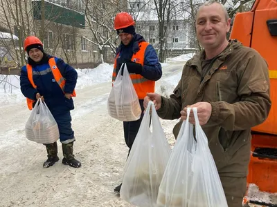 Соли для ванны FINNLUX Соль морская для ванны \"МОНПАСЬЕ\" – купить в  интернет-магазине ЛЭТУАЛЬ по цене 221 рублей с доставкой