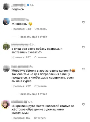 Мопс (Породы собак) мопс фото, собака мопс, купить мопса, щенки мопса,  порода мопс, мопс цена, мопсы видео, мопсы недорого, недорогие мопсы, куплю  мопса недорого Энциклопедия о животных EGIDA.BY