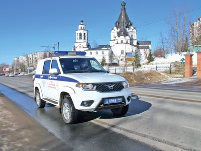 Любят влажность и могут не есть полгода: как живут «потомки» символа года в  Ленинградском зоопарке