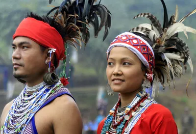 Этнос, народ, народность, нация: в чем разница? | ХроноScio | История и  культура | Дзен