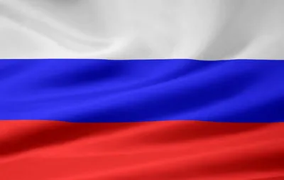Владимир Чижов: \"Ставка - национальная безопасность России\" | Euronews