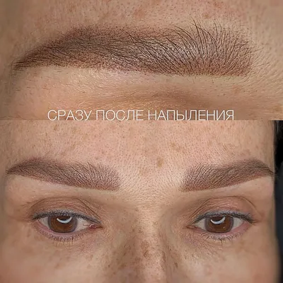 Натуральный татуаж бровей на фото в высоком качестве