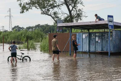 Тульская область готова принять 100 детей из пострадавших от наводнения  районов Иркутской области - Новости Тулы и области - MySlo.ru