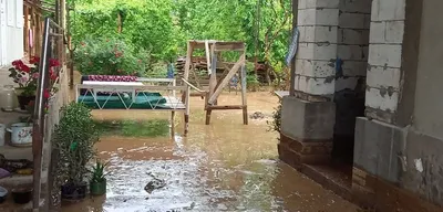 Более 4 тысяч детей, пострадавших от наводнения, отправили на отдых —  09.08.2019 — В России на РЕН ТВ