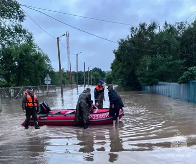 Фоторепортаж: Последствия наводнения в Джизакской области – Новости  Узбекистана – Газета.uz