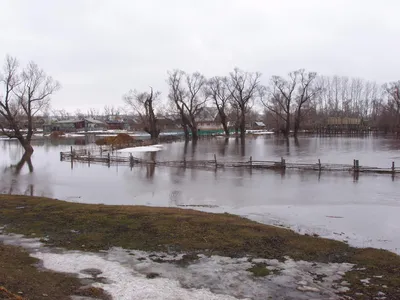 Самое крупное наводнение за 10 лет: последствия паводка и прорыва дамбы в  Уссурийске