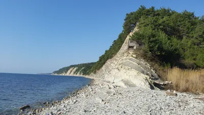 Взяли катамаран в кемпинге «Назарова дача» и пошли в открытое море |  ТУРИСТОЧКА | Дзен