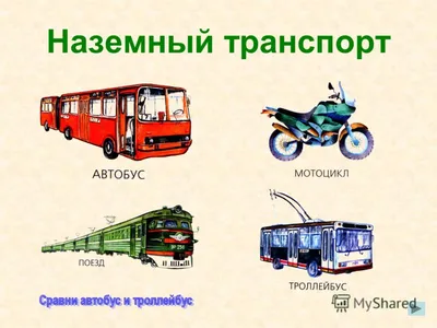 Лексическая тема «Транспорт»