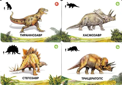 https://polinka.top/22047-raznovidnosti-dinozavrov-v-kartinkah.html