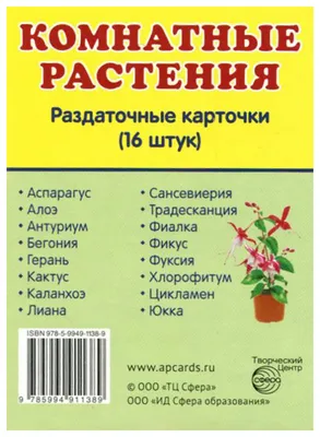 Комнатные цветы | Записи в рубрике Комнатные цветы | Дневник AZADA :  LiveInternet - Российский Сервис Онлайн-Дневников