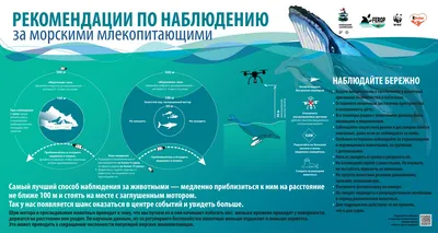 не беспокоить значок бирки вектор PNG , ярлык, Бумага, значок PNG картинки  и пнг рисунок для бесплатной загрузки