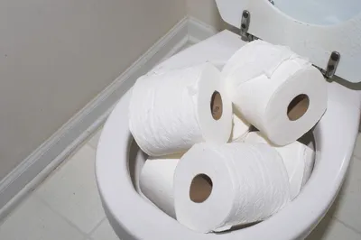 Почему нельзя бросать туалетную бумагу в унитаз - не повторяйте эту ошибку  — УНИАН