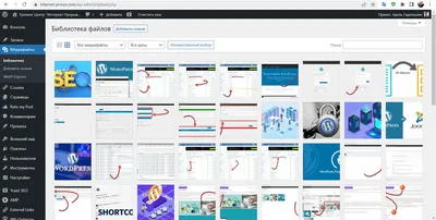 Почему не отображаются шрифты?