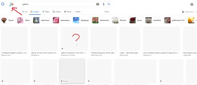 В браузере не загружаются картинки, некоторые заголовки или объекты  выделены красным - Форум – Google Поиск и Ассистент
