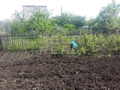 Купить загородную недвижимость на улице Куйбышева в селе Усть-Заостровка,  продажа загородной недвижимости - база объявлений Циан. Найдено 7 объявлений