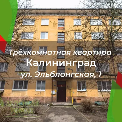 Калининградская (не) реновация»: как власти планируют обновлять старый  жилфонд
