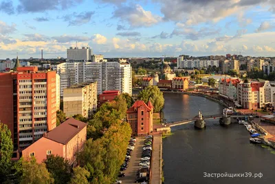 Анализ цен. В Калининграде вторичное жилье продолжает дешеветь — РБК