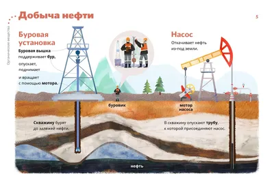 Эр-Рияд продолжит дополнительные сокращения добычи нефти до конца года -  РИА Новости, 05.11.2023