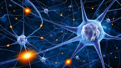 Импульсные нейронные сети: мозг в компьютере