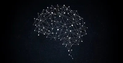 Нейронная Сеть. Нейроны Соединения Мозга. 3D Иллюстрации. Фотография,  картинки, изображения и сток-фотография без роялти. Image 61655870