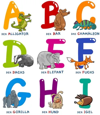 алфавит немецкого языка | Смешные животные, Немецкий, Алфавит