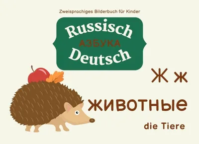 Приложение Немецкий для детей LangsForKids - «Немецкий с нуля! Приложение,  которое заслуживает внимания!» | отзывы