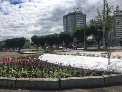 ФОТОФАКТ: Малые архитектурные формы и необычные цветочные клумбы появились  в Витебске