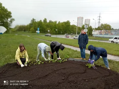 В Бишкеке появились оригинальные цветочные клумбы