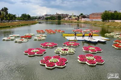 Клумбы своими руками из подручных средств: фото и идеи