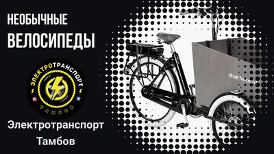 Велосипеды - привычные и необычные - РИА Новости, 23.08.2013