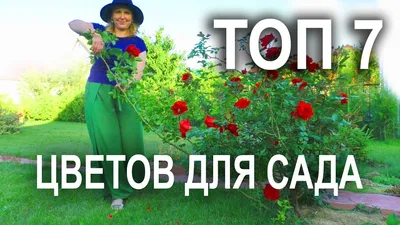 Самые популярные многолетние цветы для сада. - YouTube