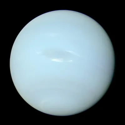 Раскраска Нептун распечатать или скачать
