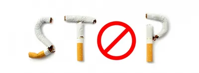 Знак Курение Запрещено На Белом Фоне Вектор Знака Нет Курению — стоковая  векторная графика и другие изображения на тему Health and Healthcare -  iStock