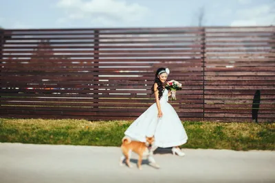 Лучшие фото (20 000+) по запросу «Жених И Невеста» · Скачивайте совершенно  бесплатно · Стоковые фото Pexels