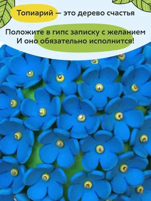 Мастер-класс по изготовлению поделки из проволоки и бисера «Незабудки» (11  фото). Воспитателям детских садов, школьным учителям и педагогам - Маам.ру