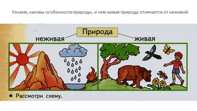 Учу дома: Монтессори игра 3 в 1 \"ОКРУЖАЮЩИЙ МИР В ДЕТАЛЯХ\"