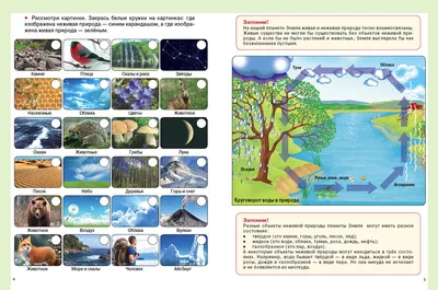 Презентация по теме \"Живая и неживая природа\" Мир природы и человека 1  класс (для детей с умственной отсталостью)