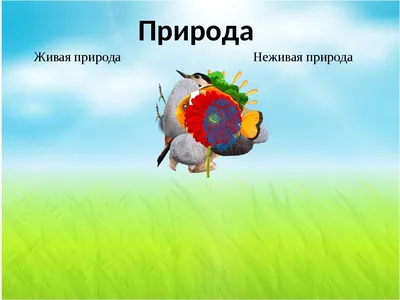 Вопросы и ответы о живой и неживой природе - купить с доставкой по Москве и  РФ по низкой цене | Официальный сайт издательства Робинс