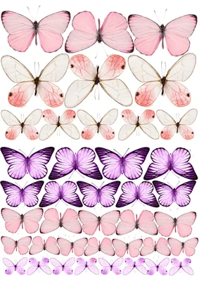 бабочки нежные #бабочкитагуи #buterfly #бабочкикрасивые | Бумажные бабочки,  Шаблоны печати, Рыбные иллюстрации